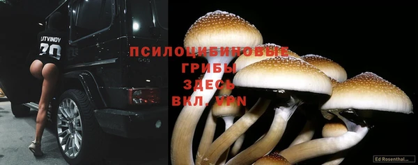 скорость Белокуриха