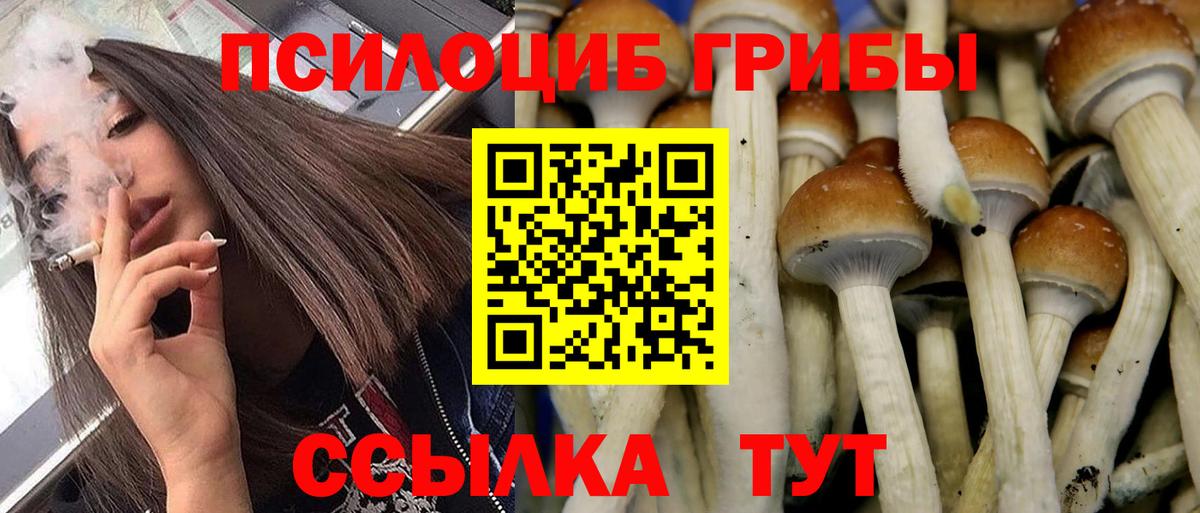 Псилоцибиновые грибы GOLDEN TEACHER Бутурлиновка