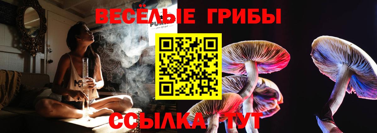 Галлюциногенные грибы мицелий  Вход с VPN  Псилоцибиновые грибы Magic Shrooms  Бутурлиновка 